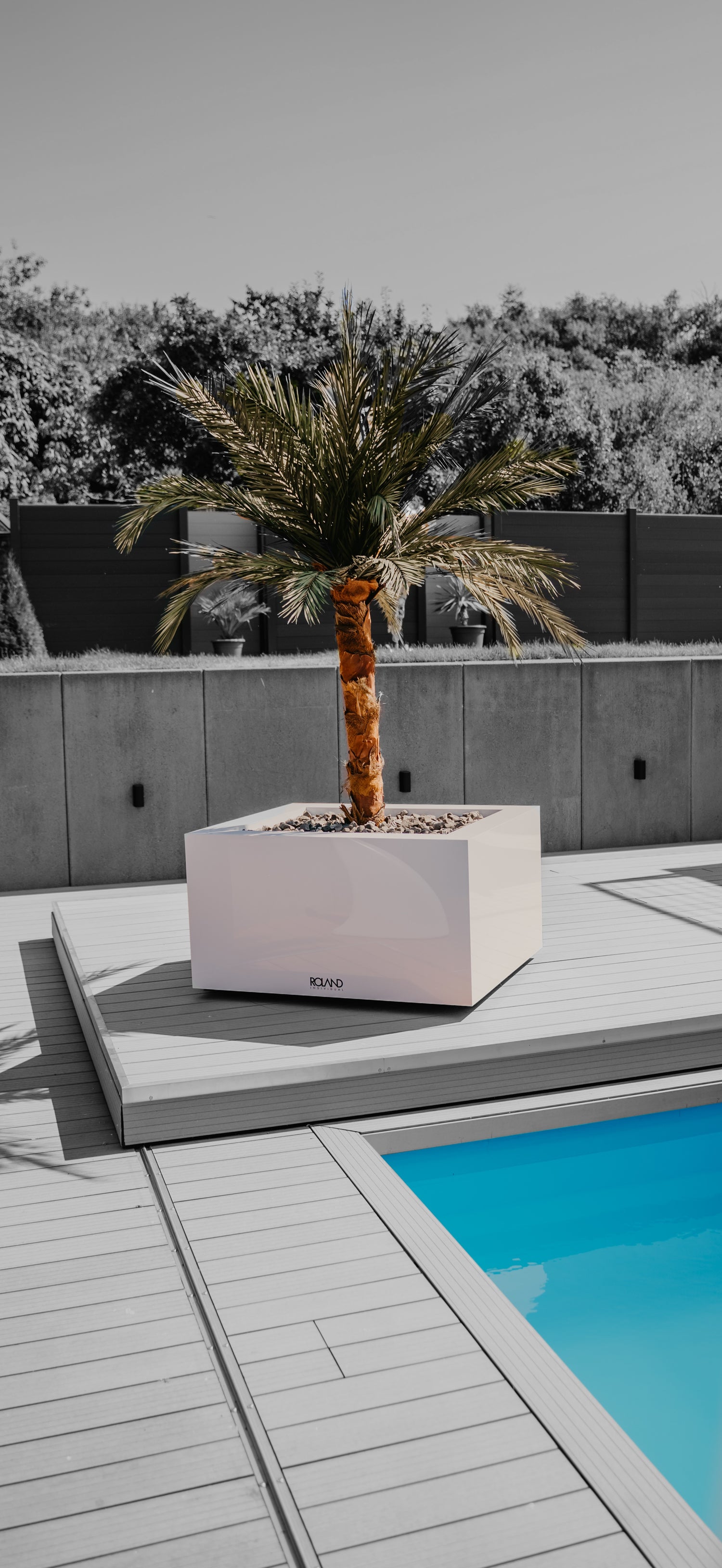 Unsere Pflanztopf-Kollektion bietet eine große Auswahl an Größen und Formen für Olivenbäume, Palmen und Formgehölze. Die Pflanzgefäße sind robust, frostsicher und witterungsbeständig und können drinnen und draußen verwendet werden. Unsere Hochglanz-Pflanzcontainer erzeugen eine moderne Atmosphäre und sind leicht zu reinigen. Kombinieren Sie verschiedene Formen für ein harmonisches Gesamtbild und gestalten Sie Ihren Garten oder Ihre Terrasse immer wieder neu.