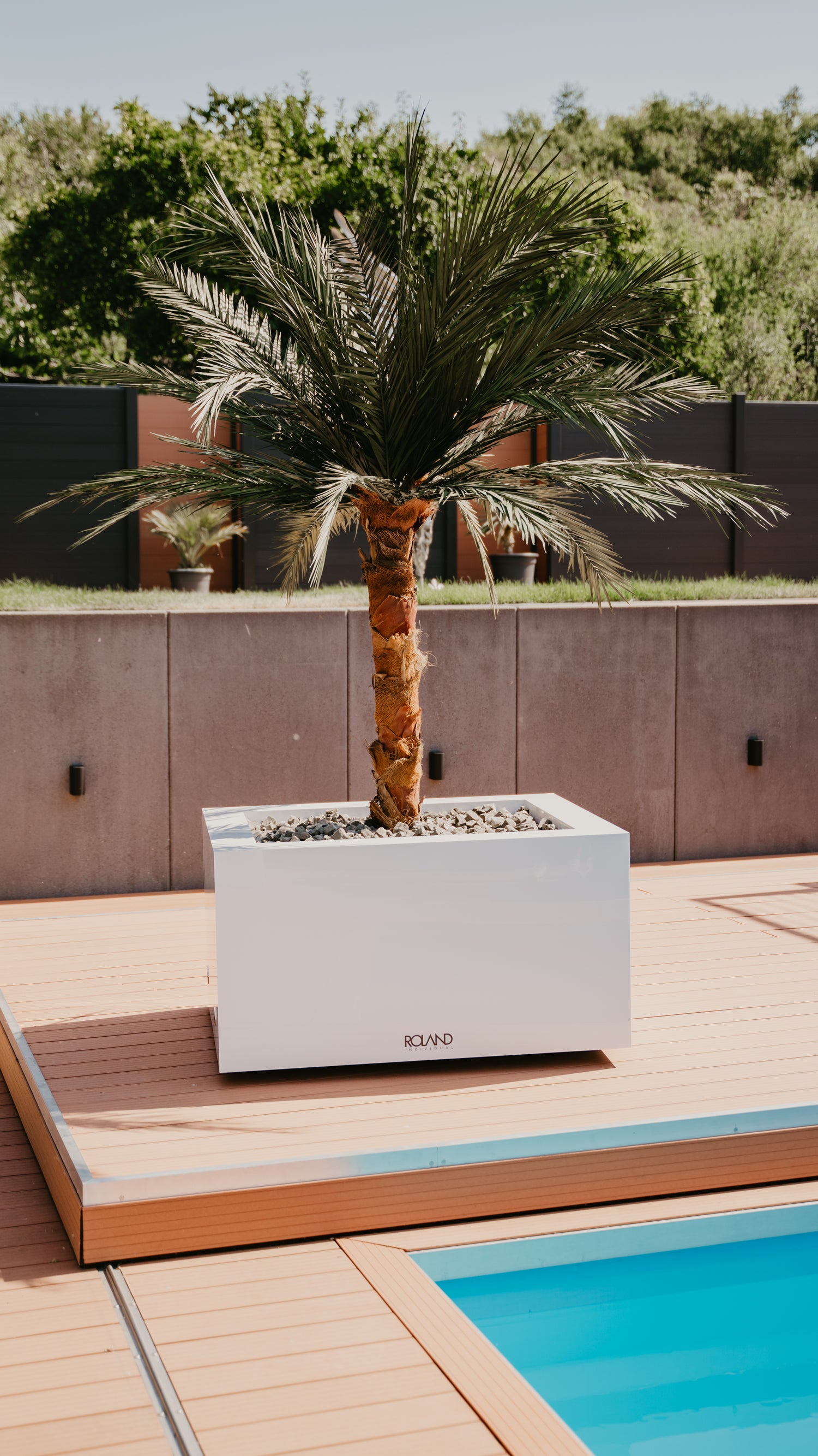 Unsere Pflanzgefäße in XXL-Größe mit modernem Design sind für den Einsatz in- und outdoor geeignet und frostsicher. Die exklusiven Pflanzkübel aus Acrylglas sind ein edles Möbelstück für Hotel und Gastronomie und individuell anpassbar. Auch als Blickfang bei Events oder auf großen Terrassen sind sie ideal.